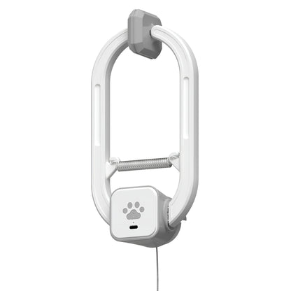 LAYZCAT™ Interactive Hanging Cat Teaser Toy